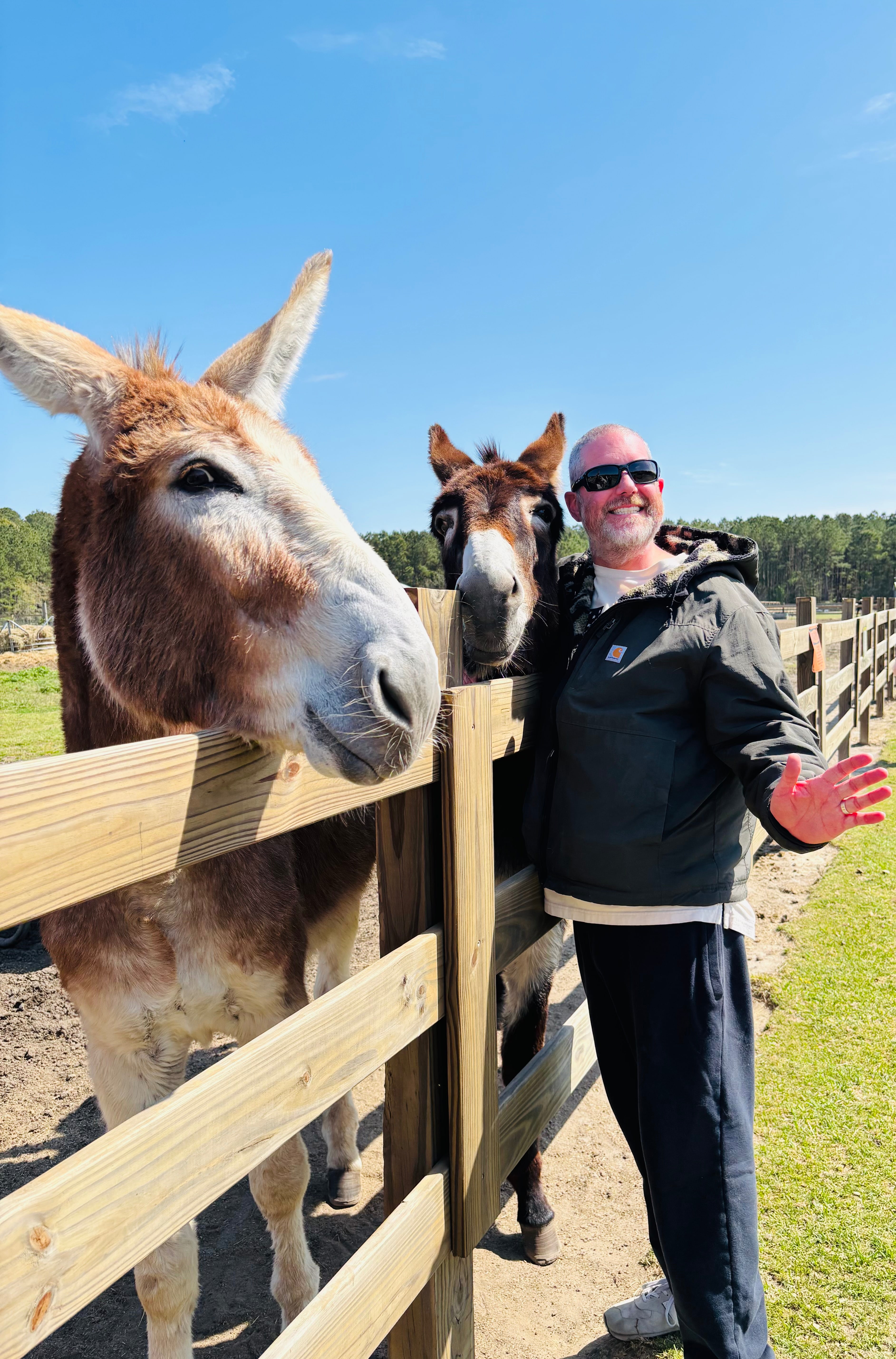 Harry Wynn smiling alongside two curious mules